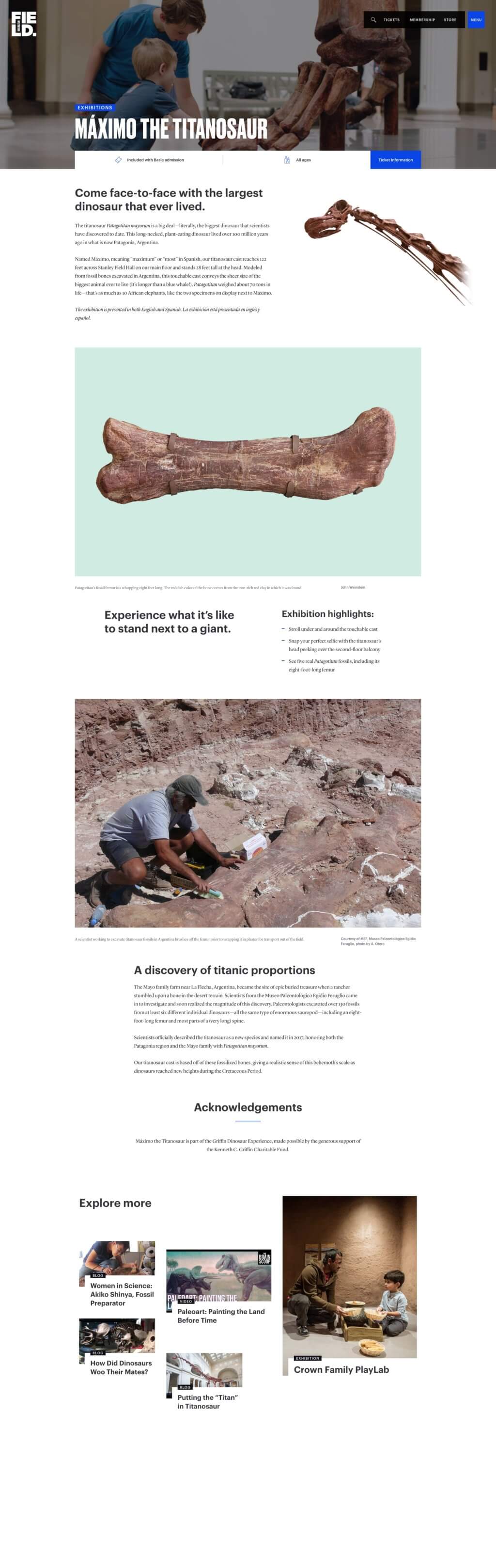A screenshot of a Field Museum webpage featuring a vertical arrangement of images, including a close-up of a bone and an archeologist in a dirt field as well as blocks of text and related links at the bottom of the page.