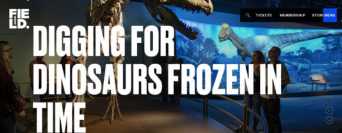 A wide screenshot of The Field Museum's website. In the background, visitors stand inside a dimly lit dinosaur exhibit with large dinosaur skeletons and a blue prehistoric mural. Over the scene, oversized bold white headline text says in all caps, "DIGGING FOR DINOSAURS FROZEN IN TIME." The Field Museum logo appears in the upper left. A black navigation bar in the upper right includes a search icon and links for "TICKETS," "MEMBERSHIP," "STORE," and a blue "MENU" button. On the right side of the hero image are vertical circular controls, likely for a carousel.