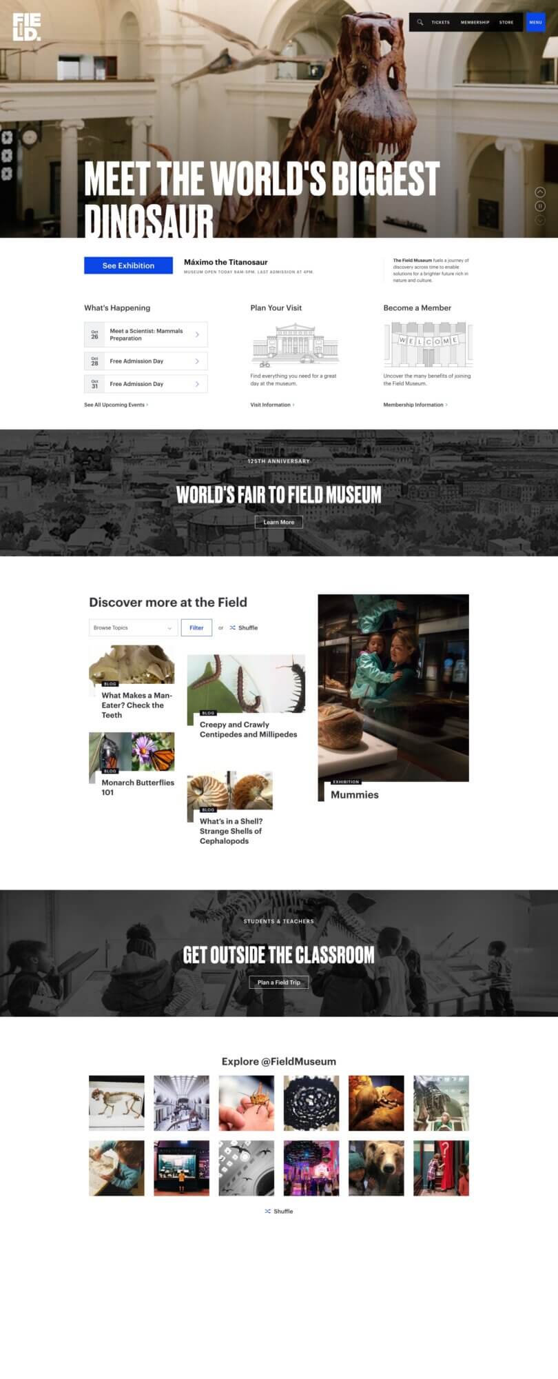 The Field Museum homepage in a clean, modern web layout. At the top is a large hero banner inside a museum hall, dominated by a massive dinosaur skeleton head and neck. Overlaid in bold white all caps text is the headline "MEET THE WORLD'S BIGGEST DINOSAUR." The Field Museum logo appears in the upper left, while the top-right navigation includes a search icon, "Tickets," "Membership," "Store," and a blue "Menu" button. Below the hero area is a call-to-action section with a blue "See Exhibition" button and the title "M‡ximo the Titanosaur," along with museum hours and a short mission statement. Under that are three columns: "What's Happening" with upcoming events, "Plan Your Visit" with a line drawing of the museum, and "Become a Member" with a welcome illustration. Further down, a dark promotional banner reads "World's Fair to Field Museum" with a "Learn More" button. A "Discover more at the Field" section follows, showing filter controls and content cards for blog posts and an exhibition, including topics like man-eater teeth, centipedes and millipedes, monarch butterflies, shells, and "Mummies." Another dark banner promotes student and teacher field trips with the headline "Get Outside the Classroom." Near the bottom is an "Explore @FieldMuseum" gallery showing a grid of museum-related photos and a "Shuffle" option.