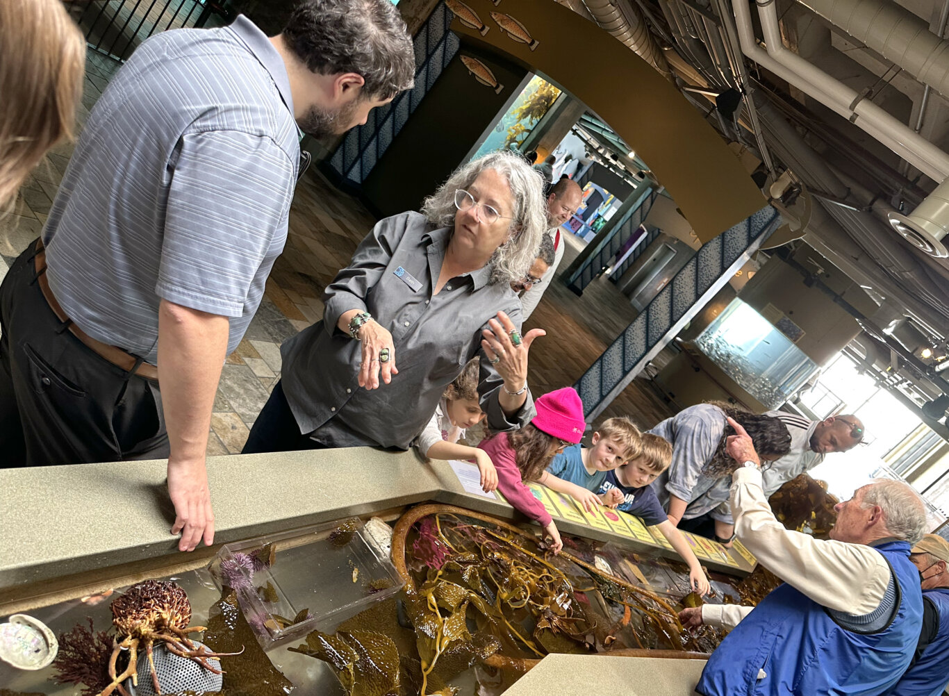 A busy indoor aquarium photographed at a tilted angle. In the foreground, a large touch tank contains water, brown kelp, seaweed, purple sea urchins, and other tide-pool organisms. Several children and adults lean over the tank, looking closely and reaching toward the water. A Beth Redmond-Jones, a white woman with curly gray hair, glasses, and a gray staff shirt with a name tag reading "Beth" gestures with her hands mid explanation to Sina Bahram, a Persian man, who's back is to us, and his hand reaching towards the touch tank.