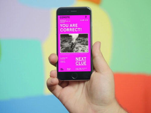 A close-up of a person with light skin tone holding a black smartphone in one hand. On the phone screen is a vivid magenta interface for "COYOTE," associated with the Museum of Contemporary Art Chicago. The screen reads "YOU ARE CORRECT!" and shows "CLUE 2/8," along with a black-and-white image and a large "NEXT CLUE" button. Smaller text at the bottom includes timing and progress information. The background is softly blurred and colorful, with pastel blocks of green, yellow, blue, purple, and orange.