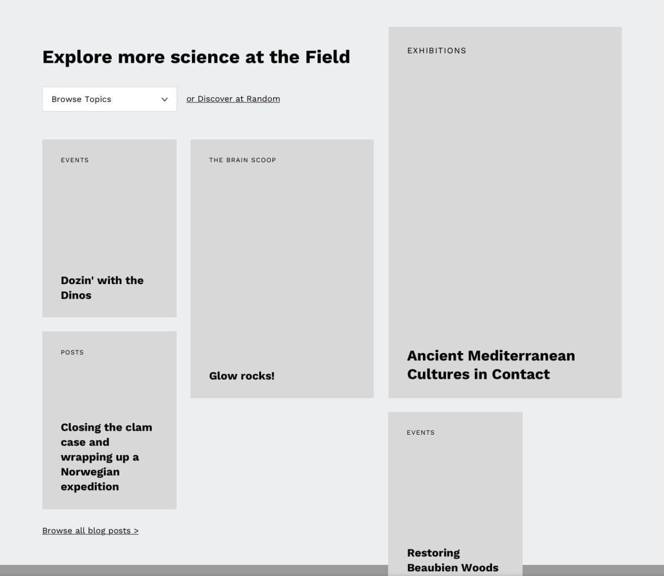 A webpage titled "Explore more science at the Field" on a pale gray background. Below the heading is a white "Browse Topics" dropdown and an underlined "or Discover at Random" link. The page is arranged in a masonry-style grid of large gray cards with small uppercase category labels and bold titles. Visible cards include "Dozin' with the Dinos" under Events, "Closing the clam case and wrapping up a Norwegian expedition" under Posts, "Glow rocks!" under The Brain Scoop, and a large Exhibitions card titled "Ancient Mediterranean Cultures in Contact." A lower card partially visible on the right reads "Restoring Beaubien Woods." At the bottom left is an underlined link: "Browse all blog posts ."