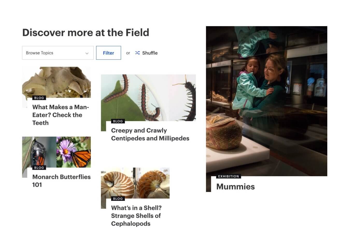 A webpage layout from a museum site, headed "Discover more at the Field." Beneath the heading are controls including a "Browse Topics" dropdown, a "Filter" button, and a "Shuffle" option. The main content is arranged as image cards: blog posts titled "What Makes a Man-Eater? Check the Teeth," "Creepy and Crawly Centipedes and Millipedes," "Monarch Butterflies 101," and "What's in a Shell? Strange Shells of Cephalopods." On the right, a large featured exhibition card shows an adult holding a child both with medium light skin tone, in a dim museum exhibit, labeled "EXHIBITION," with the title "Mummies."