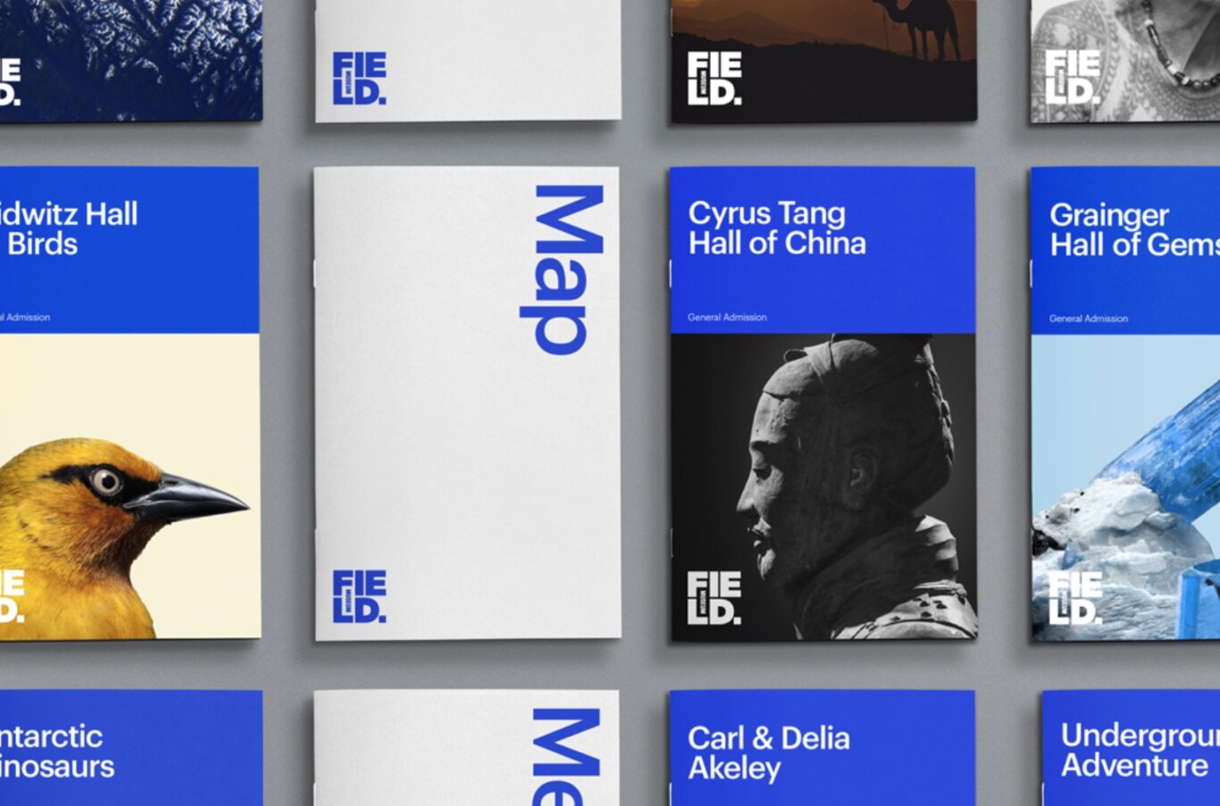 A grid of printed museum materials mounted on a gray wall. Several brochures feature the "FIELD." logo in blue or white, with a clean modern design using large blue blocks, white backgrounds, and photographic exhibit imagery. Visible items include a large "Map" brochure, a "Cyrus Tang Hall of China" admission piece with a black-and-white statue image, a "Grainger Hall of Gems" brochure with icy blue gemstone imagery, and a bird-themed brochure showing a close-up of a yellow bird.