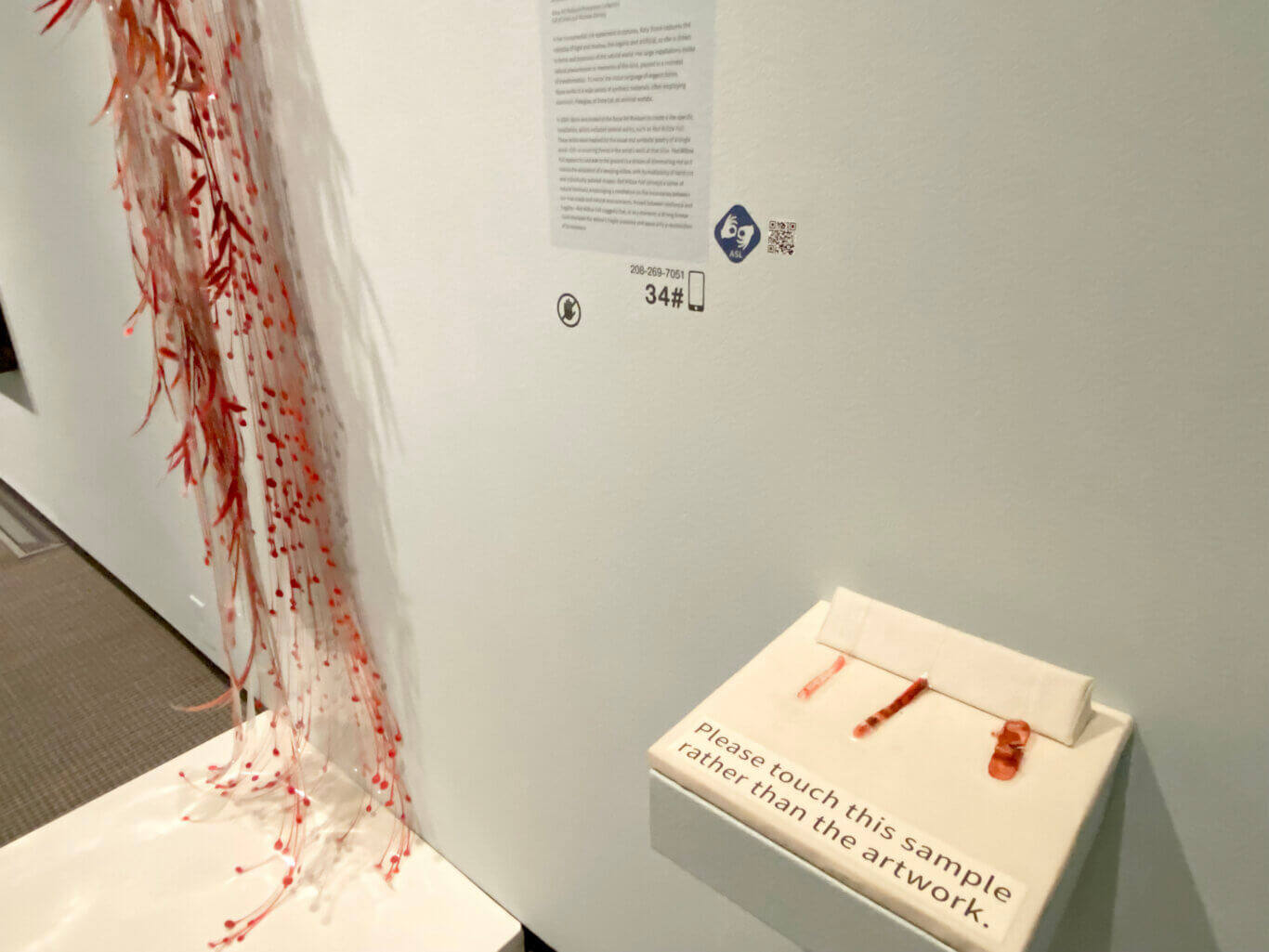 In an exhibition space, on our left a vertical, wispy sculpture hangs down from above, made of clear or pale translucent strands painted with red accents. The red elements look like small droplets, beads, or organic shapes. On the wall to our right, there is an informational label with text, an ASL icon, a QR code, a do not touch sign, and an audio/phone guide number "208-269-7051" with the number "34." At our lower right, a white display platform holds three small plastic and red painted samples resembling different width and paint textures featured in the main artwork. A sign reads, "Please touch this sample rather than the artwork."