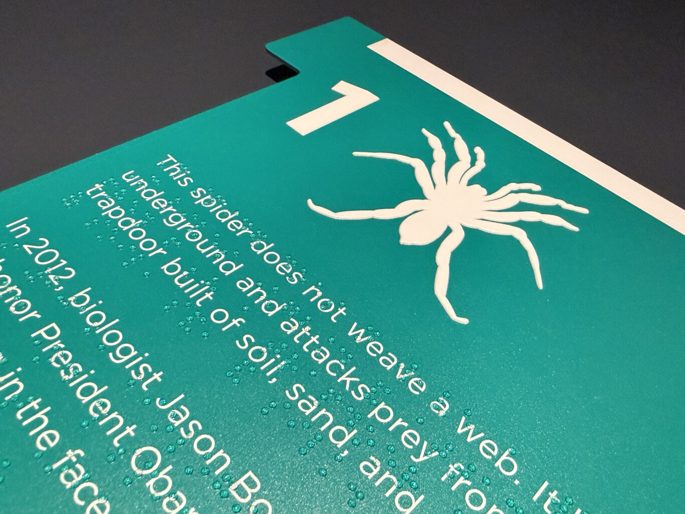 A close, angled view of a greenish-teal informational panel or sign with a large number one and raised silhoette of a spider. It contains white lettering and Braille. Parts of the text are visible but cropped, including fragments such as "This spider..." and "underground...". The sign rests against or near a dark gray/black surface, and the photo is taken from a very low, close perspective, emphasizing the texture of the Braille and raised graphics.