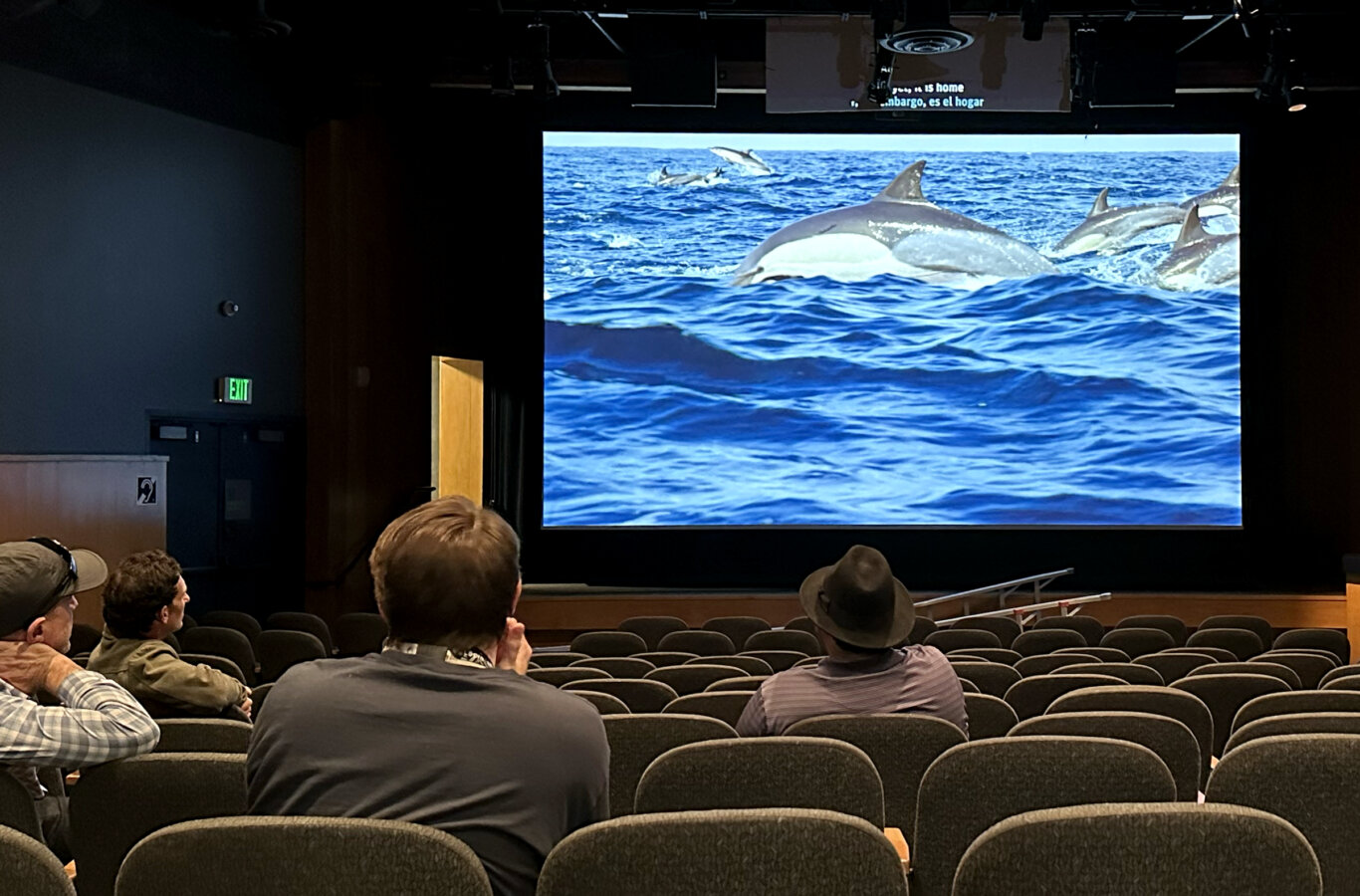 The inside of a small theater with rows of empty and occupied seats. A few audience members are seated facing a large projection screen at the front. On the screen is a vivid ocean scene featuring several dolphins leaping or swimming through bright blue water. The room is dimly lit, with stage lighting and a smaller overhead display above the main screen showing partial subtitles. An exit sign and a doorway are visible on the left side of the auditorium.