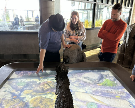 An indoor exhibit space with large windows and bright daylight coming in from outside. In the foreground is a large illuminated interactive table displaying a colorful underwater scene with rocks, sea plants, and marine life imagery. Sina Bahram, a Persian man, leans over the display and reaches down to touch what appears to be a flat screen. next to him, Maria Braswell, a white woman, is in mid sentence, while Hagen Tilp, a whiteman watches from the right. Emerging from a large boulder at the edge of the table and cutting across the surface is a dark textured bronze sculpture resembling seaweed.