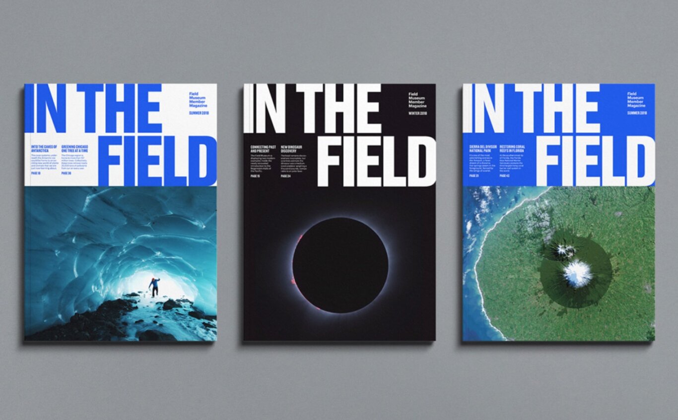 Three issues of Field Museum Member Magazine titled "IN THE FIELD," arranged horizontally. Each cover uses oversized bold typography in all caps at the top. The left cover is white with blue text with a photo of a person standing inside a glowing blue ice cave. The middle cover is black with white text with a dramatic solar eclipse image centered below the title. The right cover is blue with white text with an aerial satellite-style image of a green coastal volcanic landscape
