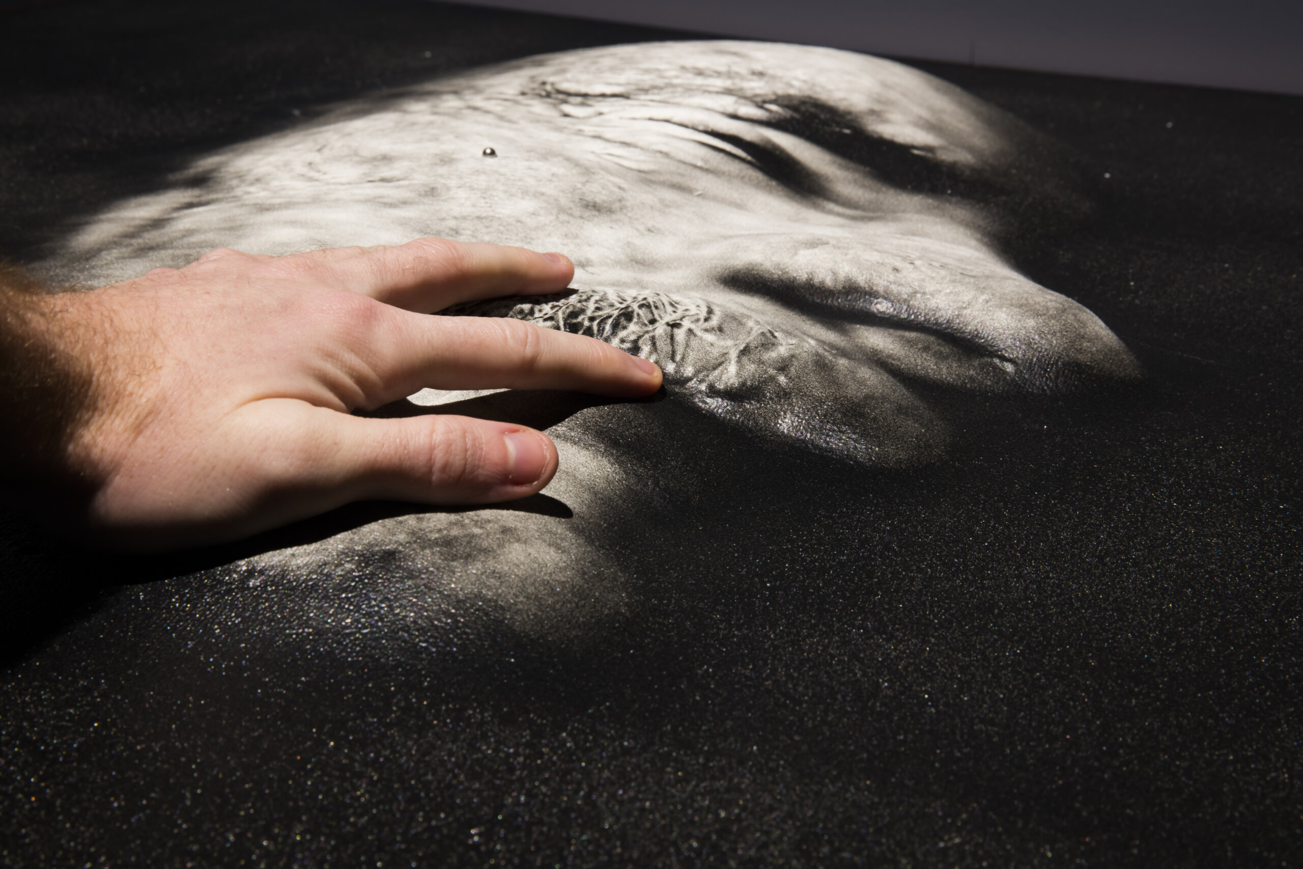 A close-up view of a hand with light skin touching a black and grey, shiny textured and raised black and white image of a distored human face with light skin tone. Across the surface are cloudy white streaks and raised textured patches on the person's mustache. Bright sunlight creates strong contrast, deep shadows, and sparkling reflections in the dark areas. A small raised silver bead is embedded into the middle of the person's cheek.
