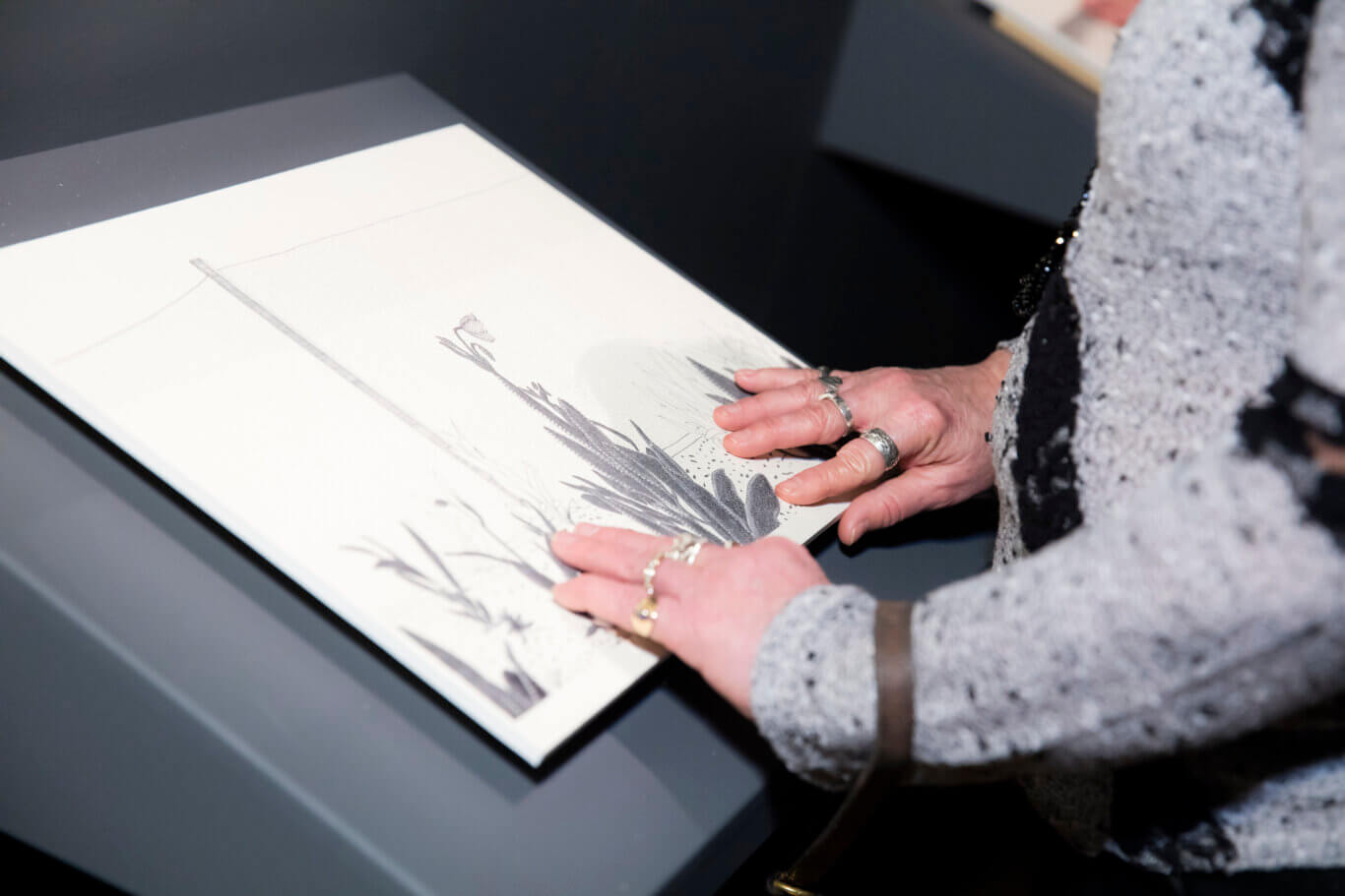 A close-up, angled view of someone with light skin tone touching a titled tactile image of plants in an empty landscape. The artwork appears to be fine black-and-gray botanical line drawings, possibly leaves or flowers, with a dotted background texture. Their hands, wearing several silver rings, rest near the lower-right edge of the print exploring the texture of the flecked dirt and spear shaped leaves. Much of the foreground is softly blurred by the person's fuzzy gray-and-black sleeve.